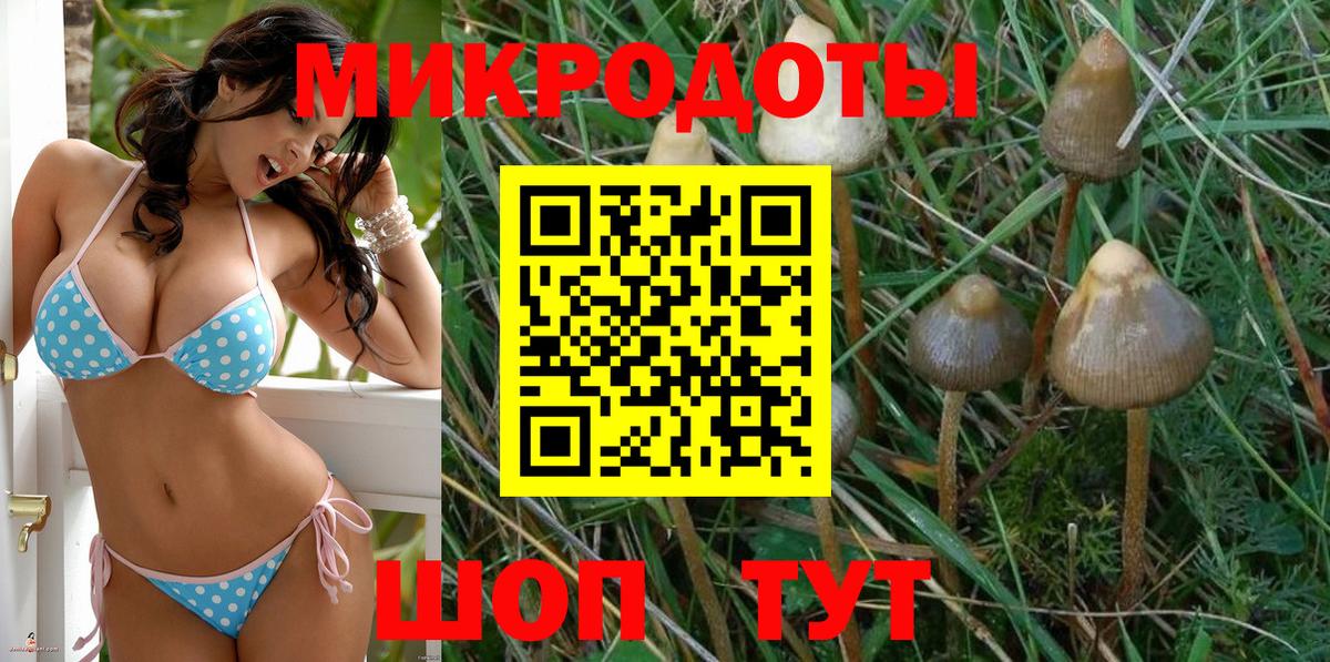 Ефремов  Псилоцибиновые грибы Magic Shrooms  Псилоцибиновые грибы мухоморы  Вход с VPN 